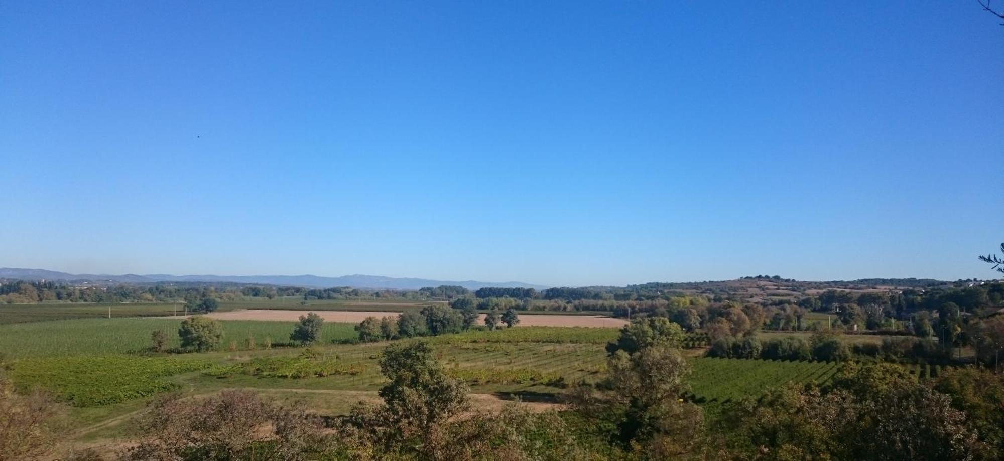 Camping Les Amandiers Castelnau-de-Guers Buitenkant foto